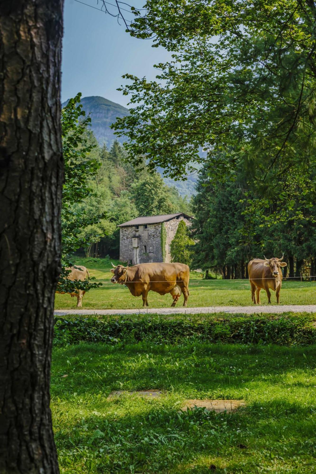 Agriturismo Ferdy Villa Lenna Bagian luar foto